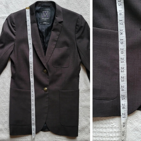 Aritzia Talula Exeter Boyfriend Blazer - Picture 9 of 11